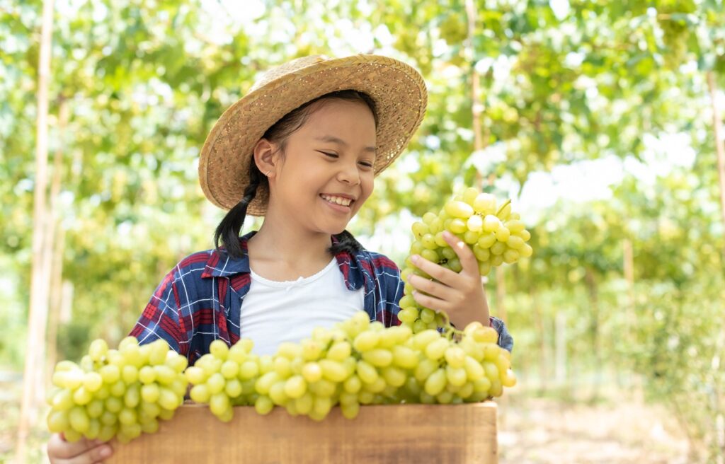 Las Uvas: Un Superalimento que Transforma la Salud