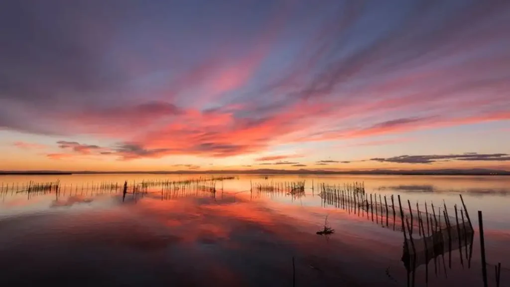 El Fenómeno de los Atardeceres en l’Albufera: Entre la Belleza y la Masificación