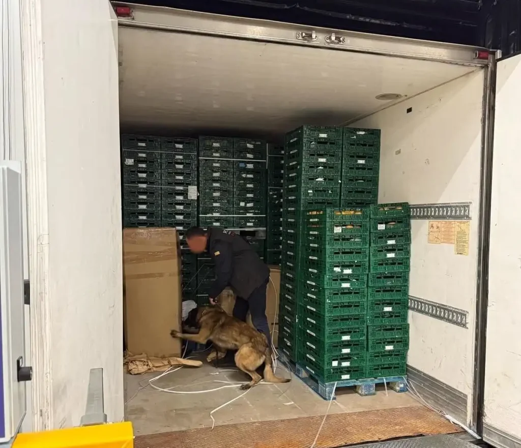 Detención en la AP7: Un Control Rutinario Revela un Cargamento de Drogas