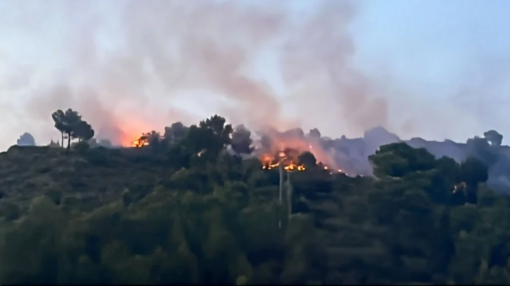 Incendio Devastador en Gandia: Un Desastre que Deja Huella